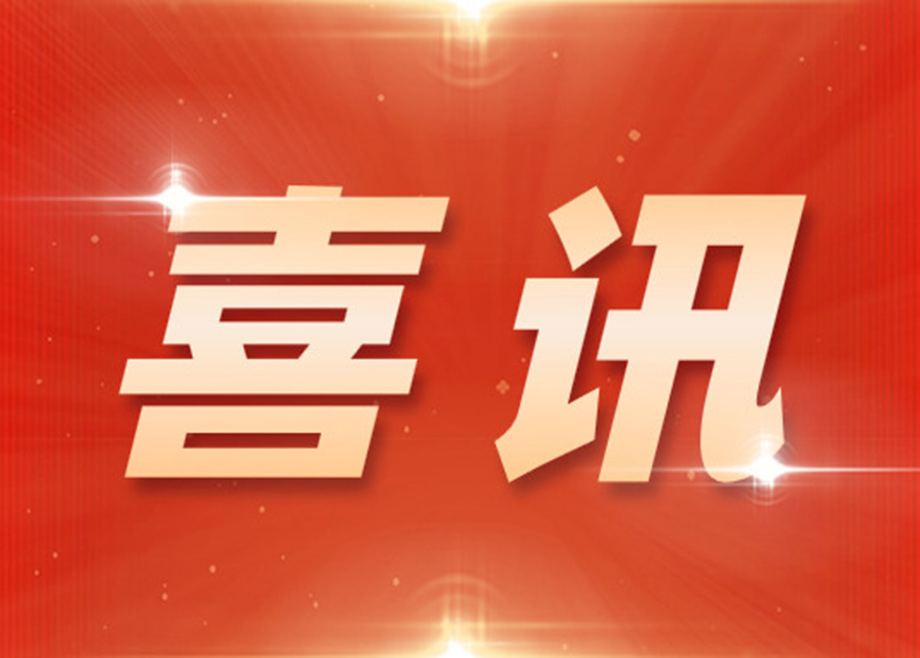 mk平台子公司德力泰及MK（中国）一站式服务平台液压入选广东省制造业单项冠军榜单
